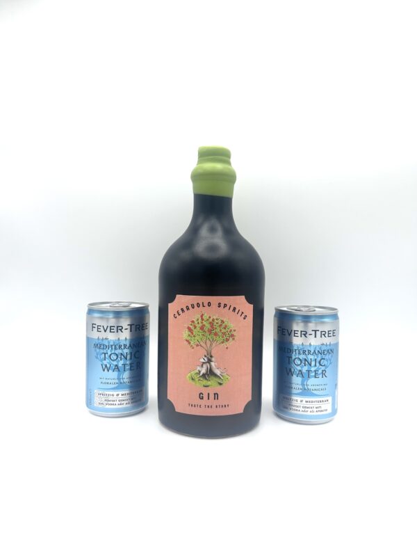 Gin + 2 Dosen Fever-Tree Mediterranean Tonic