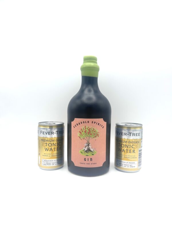Gin + 2 Dosen Fever-Tree Premium Indian Tonic Water