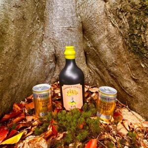 Gin + 2 Dosen Fever-Tree Premium Indian Tonic Water