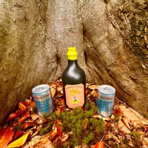 Gin + 2 Dosen Fever-Tree Mediterranean Tonic